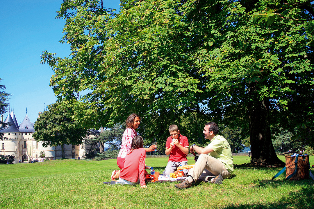AM301-pique-nique-en-famille