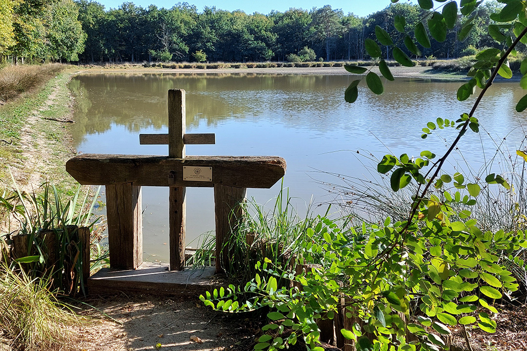 BL302-chambord-etang