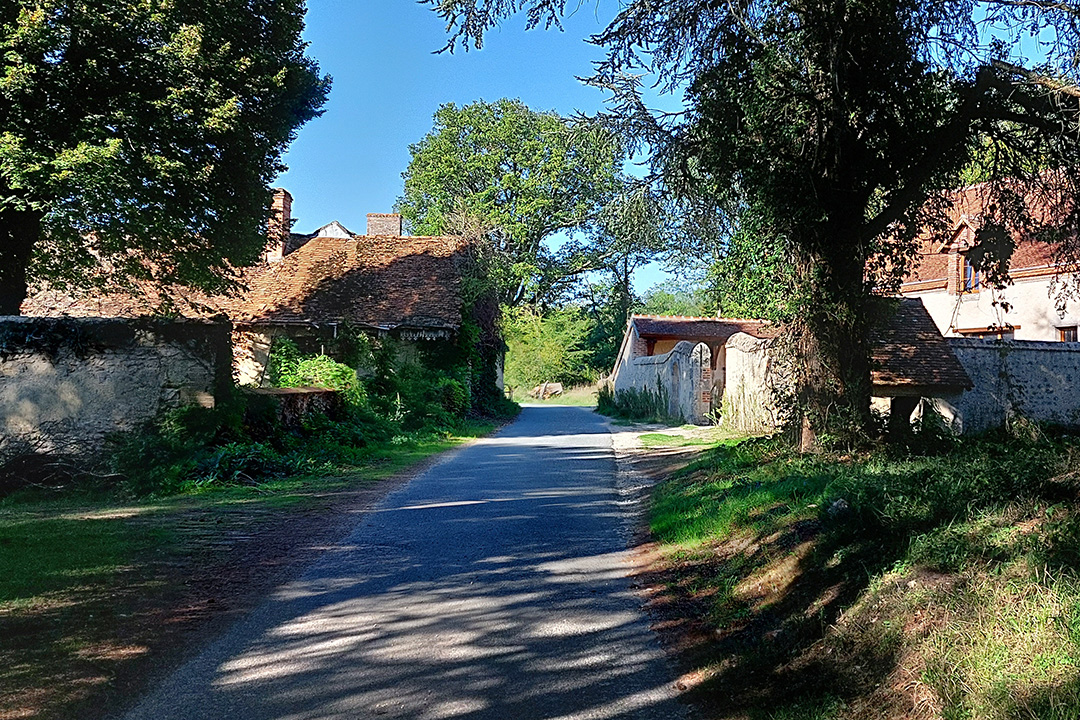 BL401-foret-de-boulogne