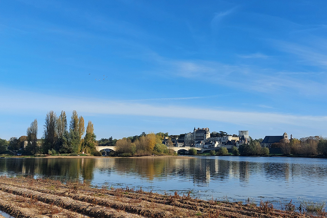 BL501-amboise-loire-chateau