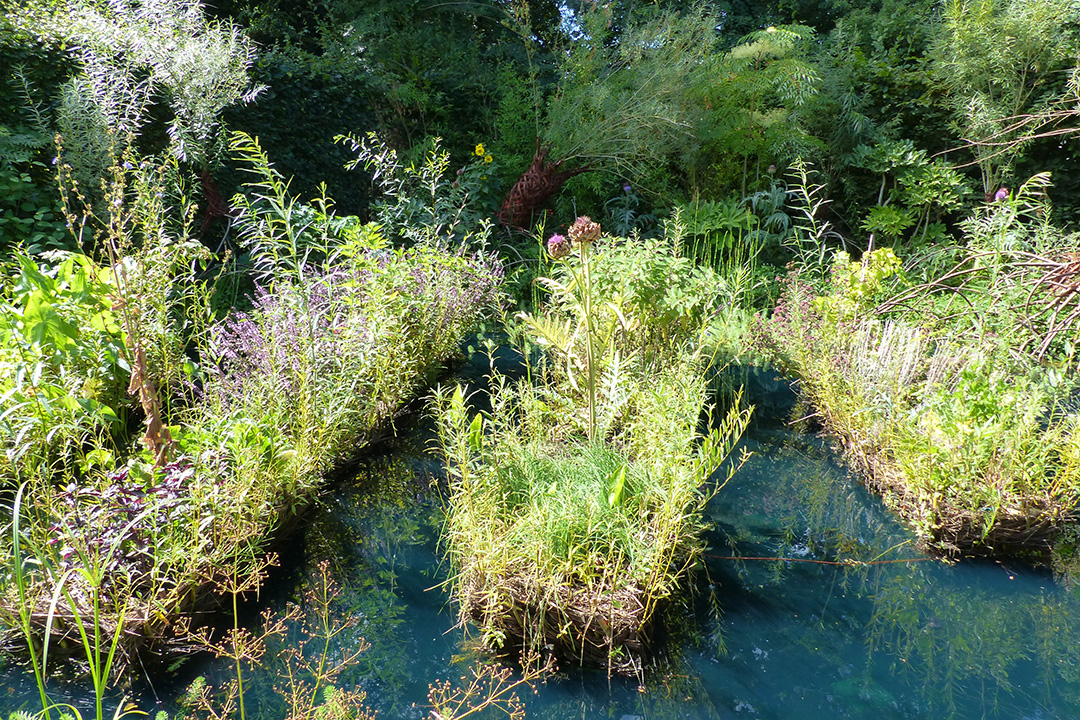 BL501-chaumont-sur-loire-jardin