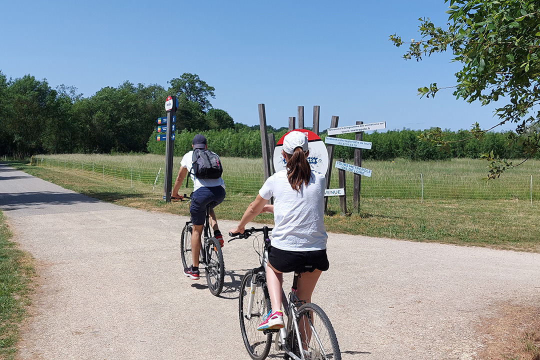 BL701-tours-savonnieres