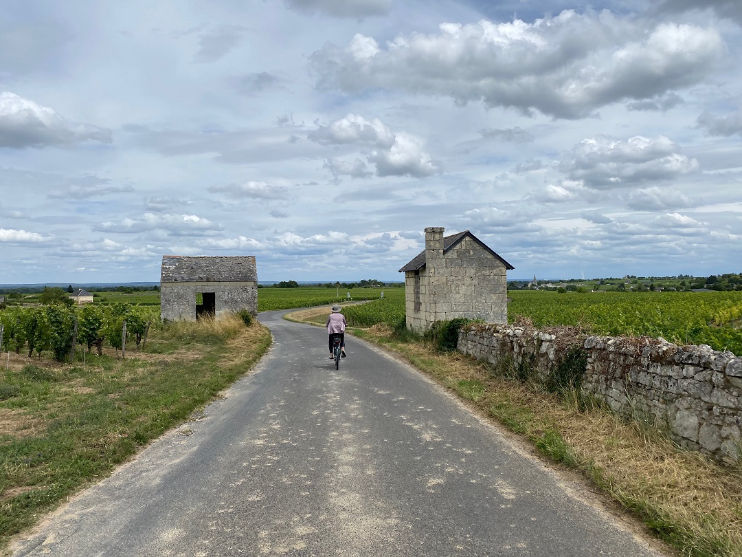 BL701-vignobles-de-saumur-a-velo