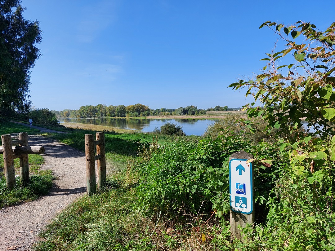 TO301-loire-a-velo-a-amboise