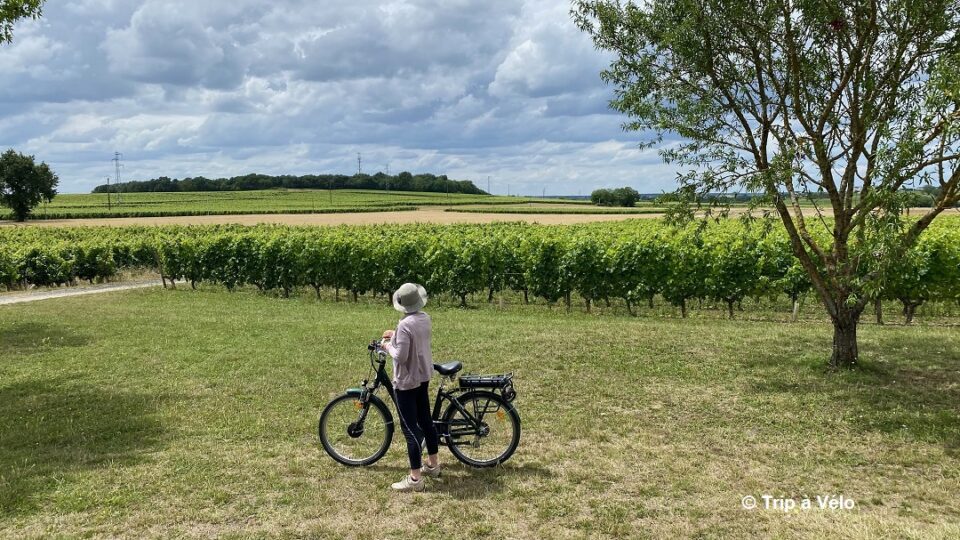 Saumur Champigny © Trip à Vélo