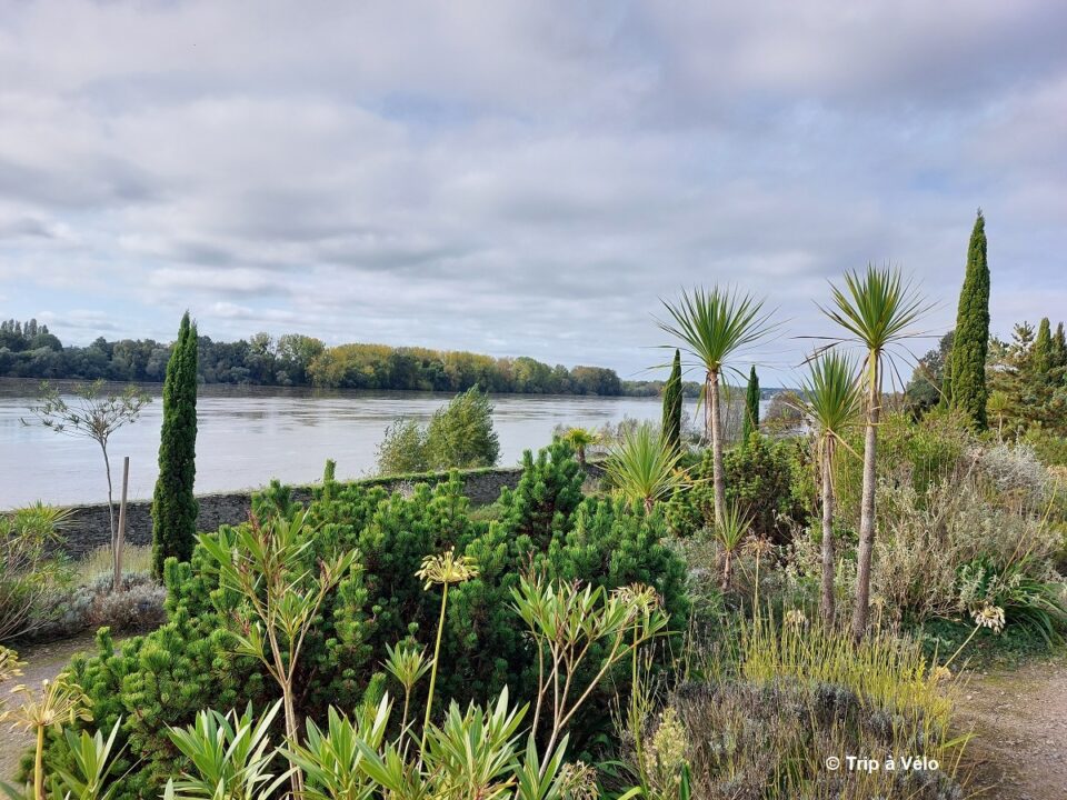 Ste Gemmes © Trip à Vélo