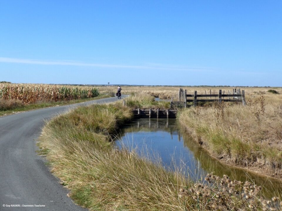 Charente-Maritime18 Balade à vélo dans les marais de Brouage