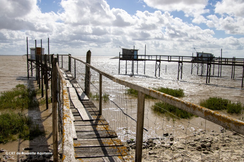 Copyright--CRTNA-Carrelets