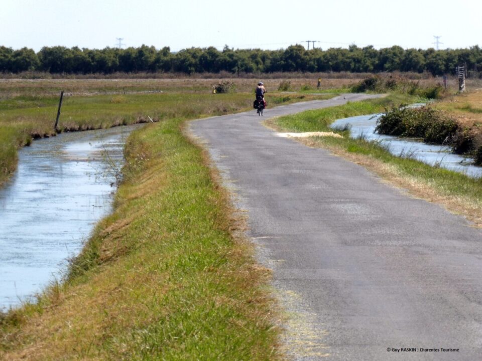 Balade à vélo dans les marais de Brouage
Crédit photo Guy RASKIN ; Charentes Tourisme